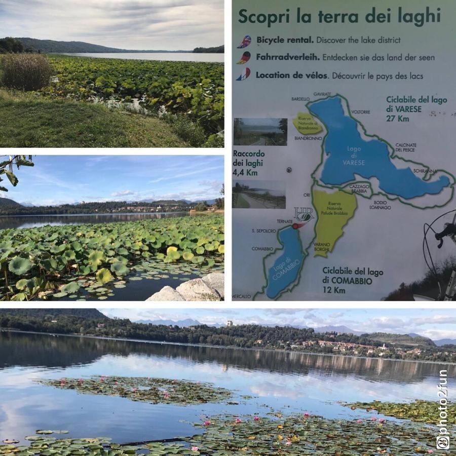 Casa Chia Lago Maggiore Laveno Eksteriør billede